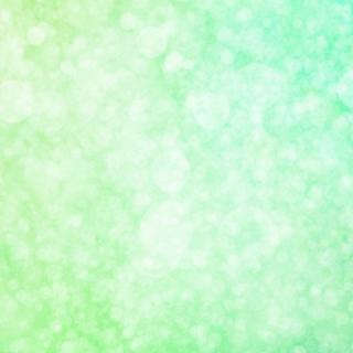 目黒区のヒーリングスポット