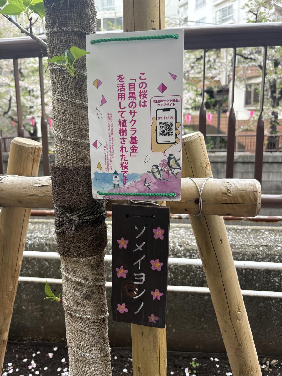 目黒
