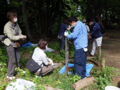 施肥作業体験の様子