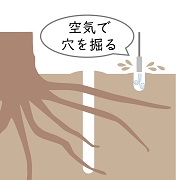 樹勢回復のイメージ