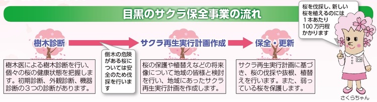 目黒のサクラ保全事業の流れの図