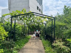 天空庭園取材2