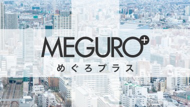 MEGURO_plus_380