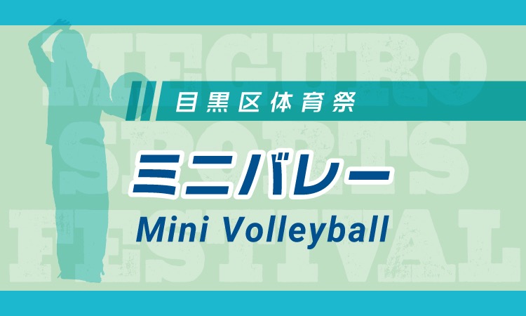 MSF_MiniVolley_BN
