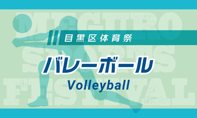 MSF_Volleyball_BN