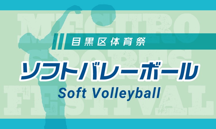 MSF_SoftVolleyball_BN