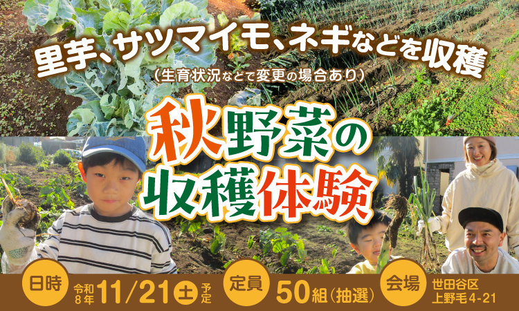 秋野菜