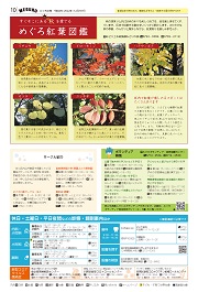 第10面
