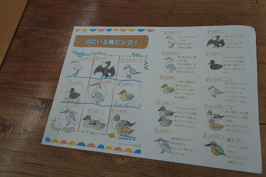 川にいる6羽の野鳥に丸がついたビンゴシート