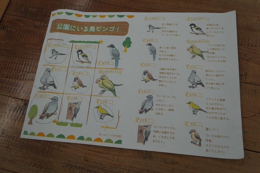 公園にいる6羽の野鳥に丸がついたビンゴシート