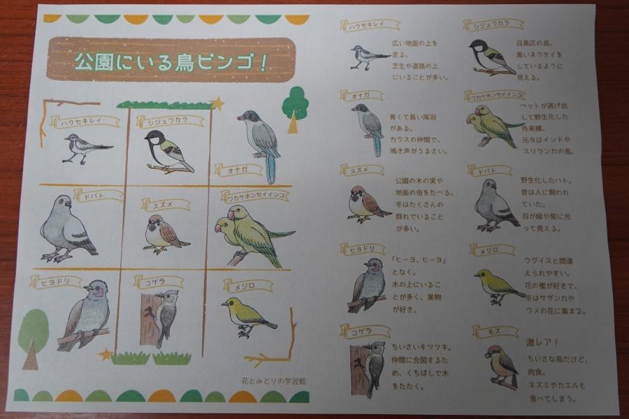 野鳥のビンゴシート