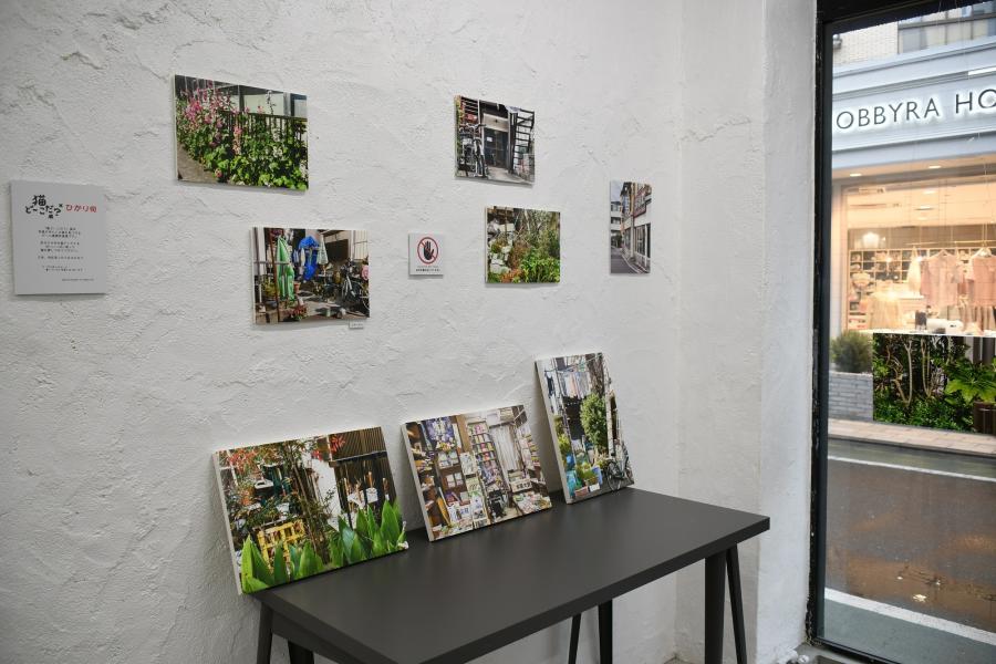 03猫展