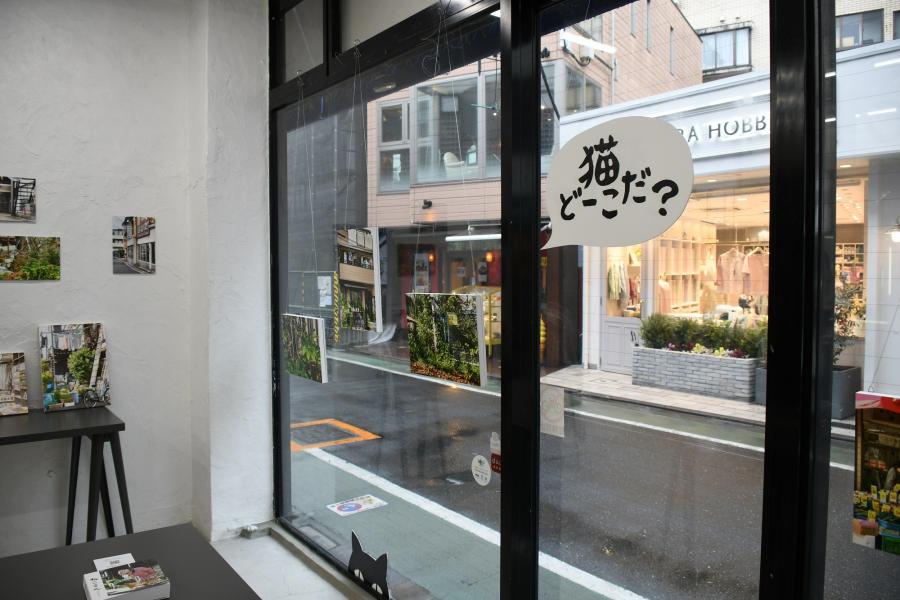 06猫展