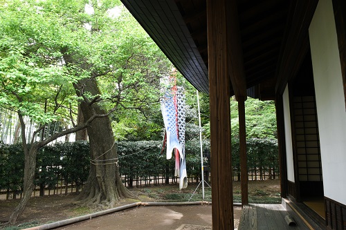古民家こいのぼり