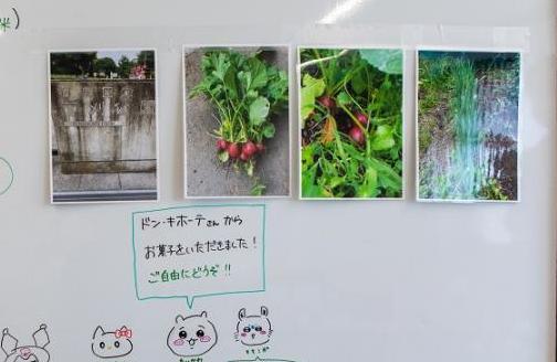 まると食堂（ラディッシュの写真）