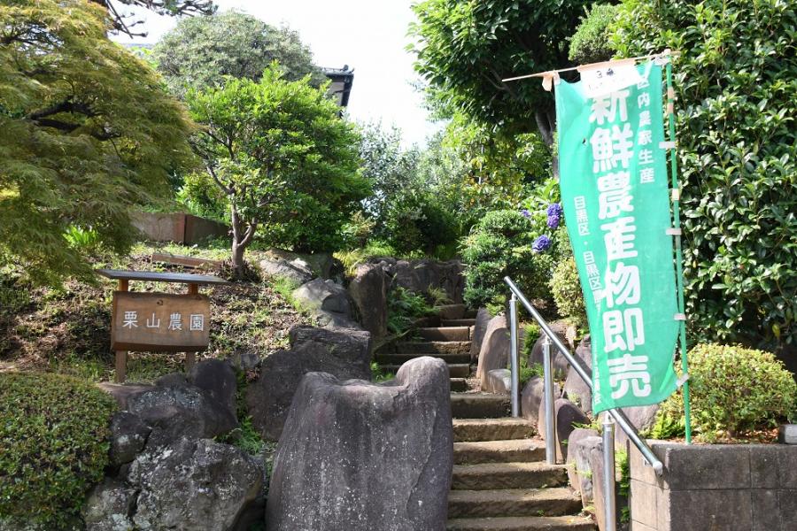 （看板）栗山農園