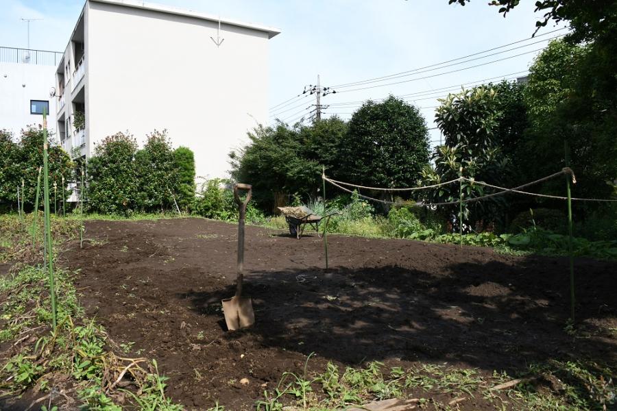 栗山さか江農園の畑2