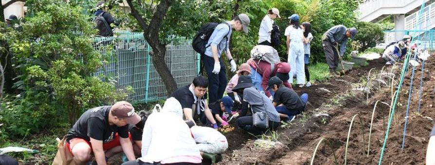 栗山貴美子農園の様子