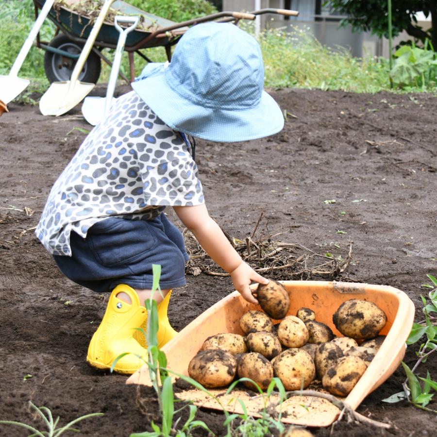 MEGURO＋「自由が丘で農業体験！初夏のワクワク“じゃがいも掘り”を満喫！」