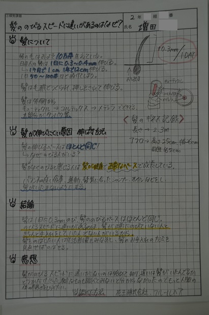 増田さんの作品