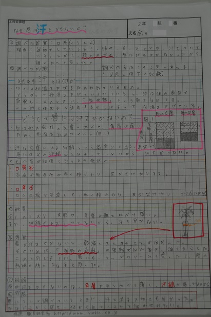 鈴木さんの作品