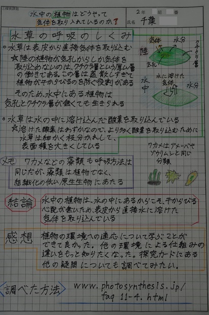 千葉さんの作品