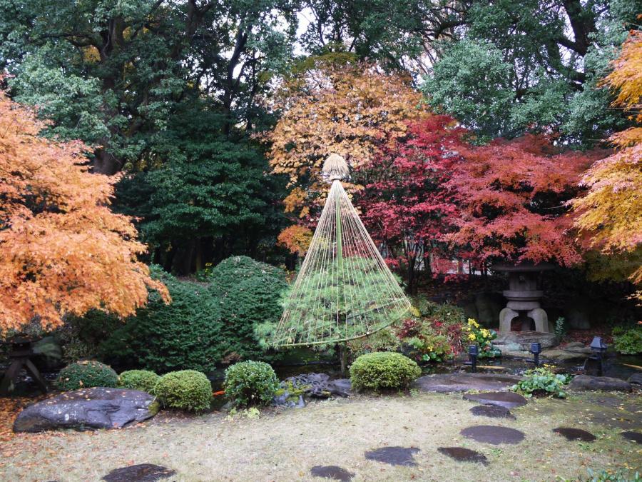 和館庭の写真