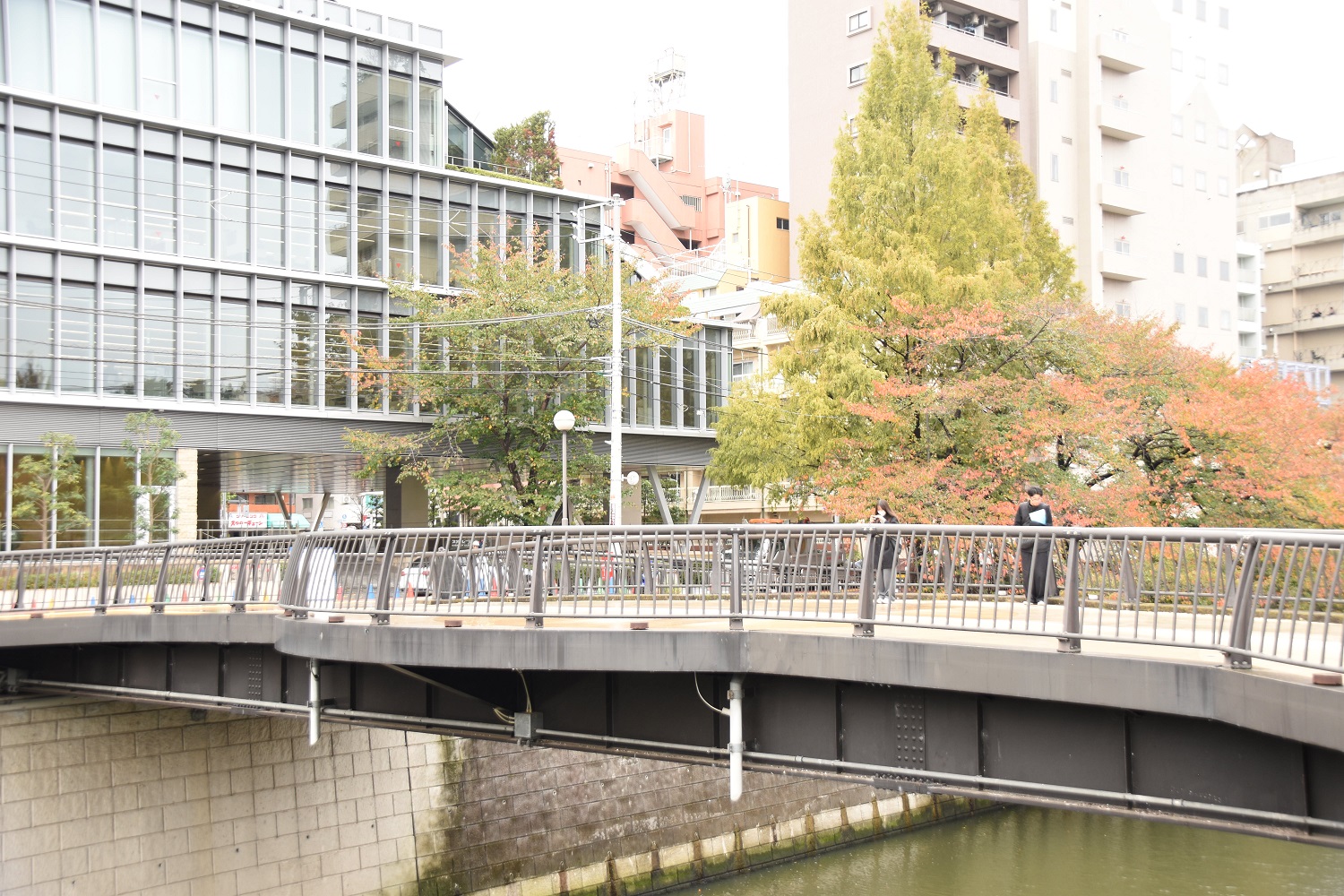 ドラマなどのロケ地として有名な「なかめ公園橋」