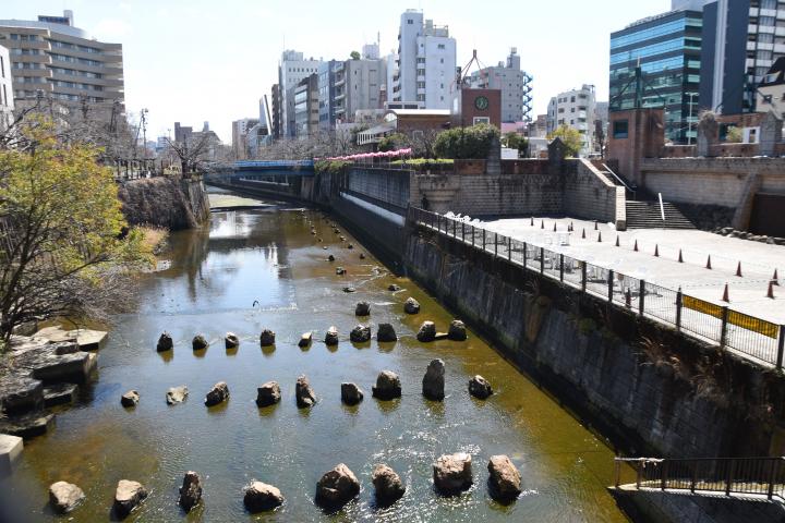 船入場付近の目黒川