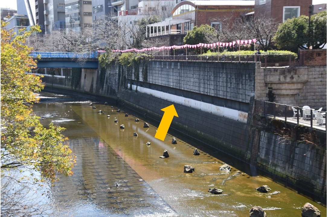 せきの写真