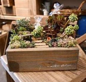 寄せ植え