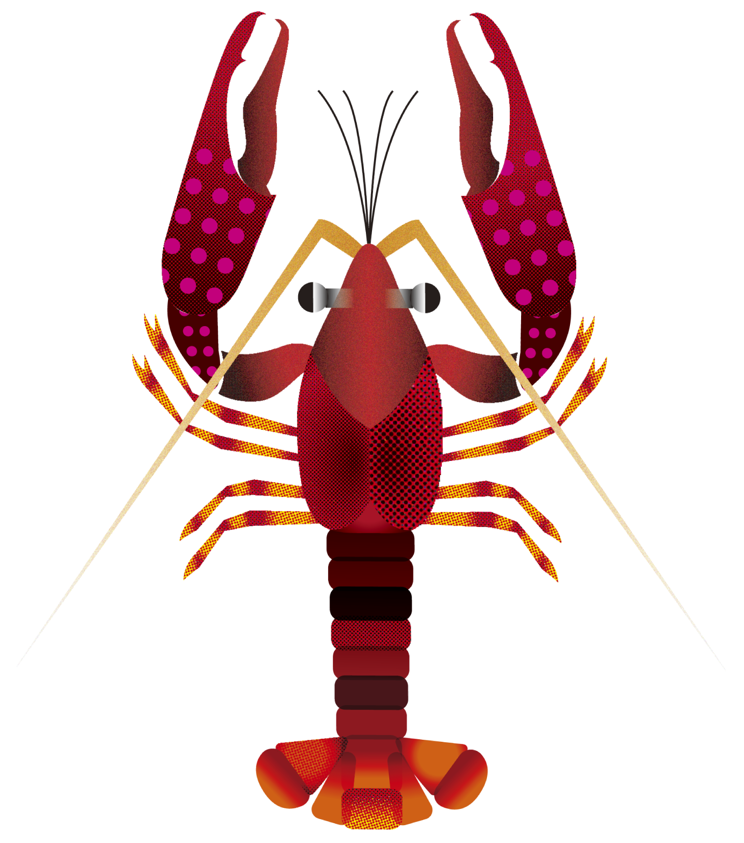 ザリガニ