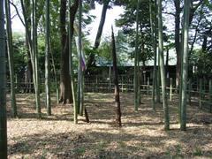 すずめのお宿公園