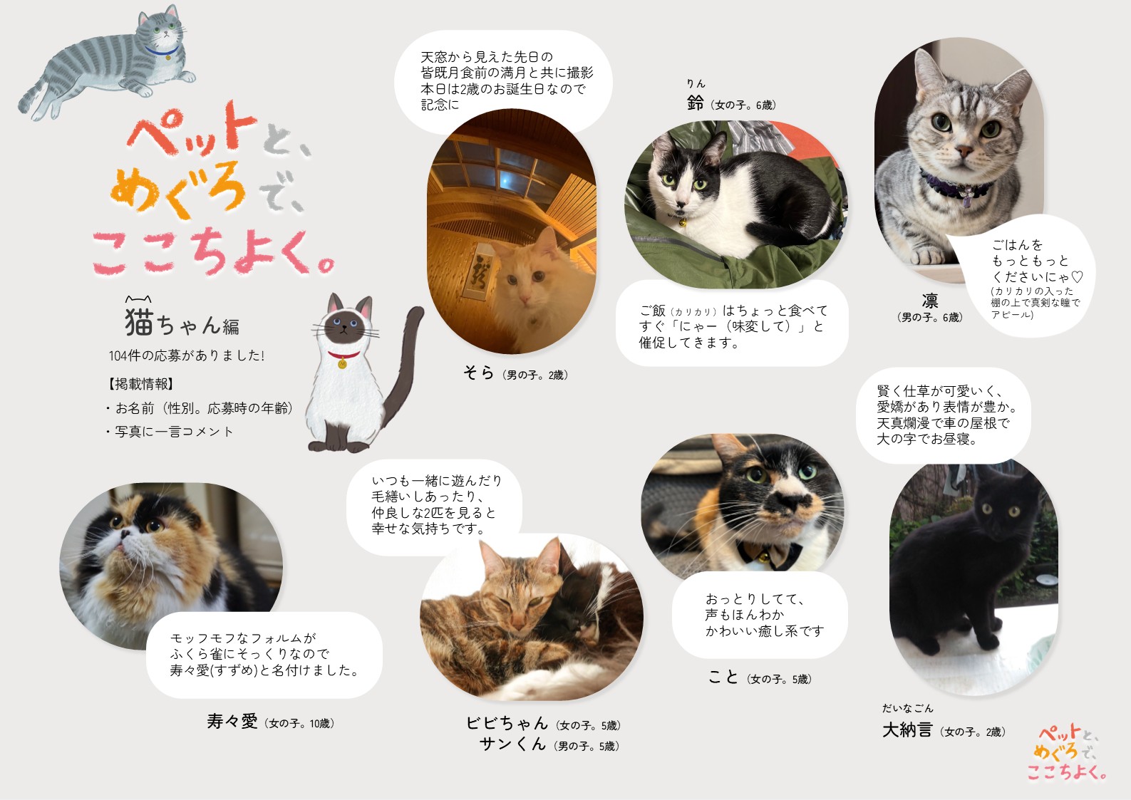 猫ちゃん