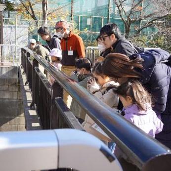 はまる理由がそこにある。人生初のバードウォッチング(中目黒公園・目黒川)