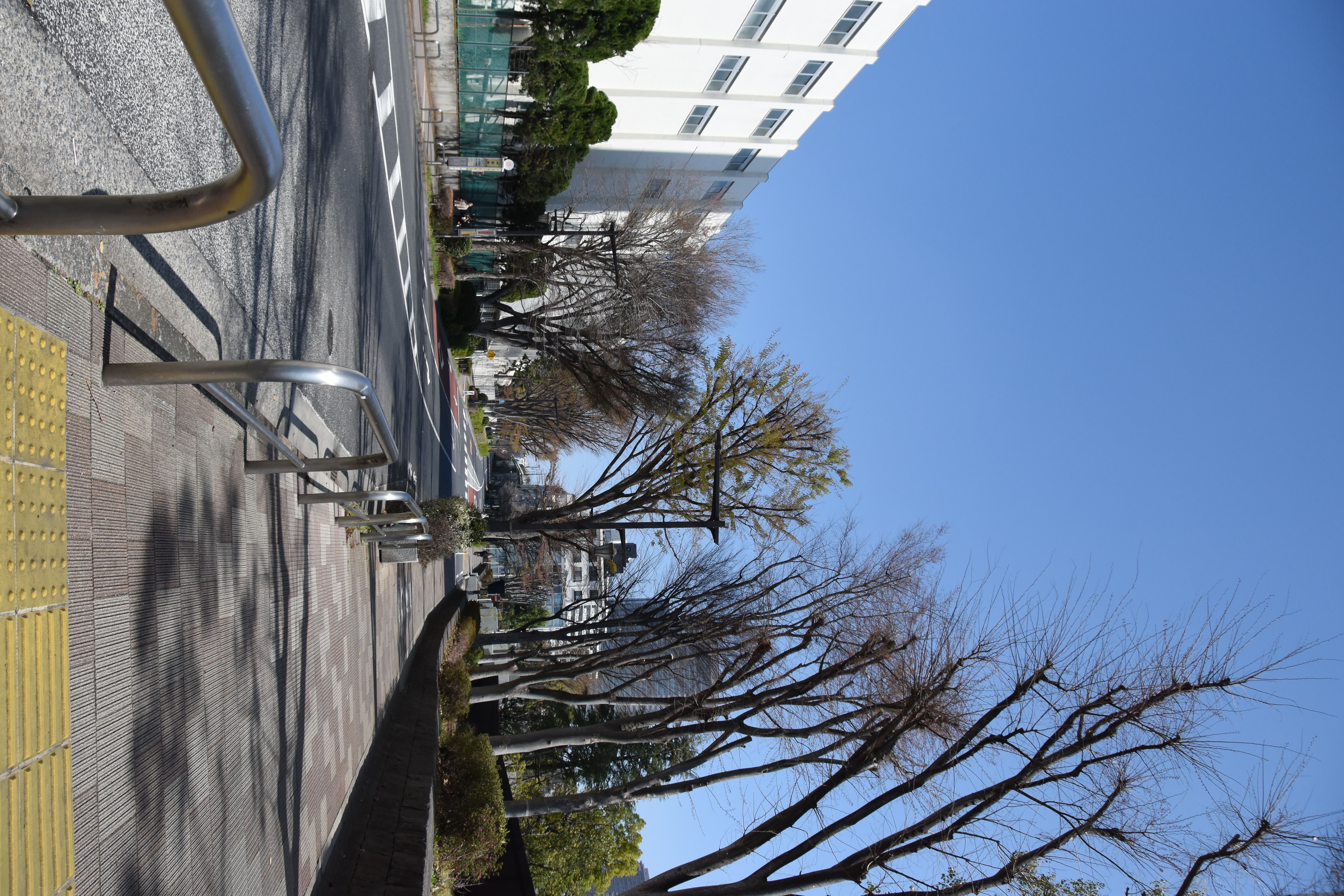 茶屋坂下から恵比寿方面を見た景色