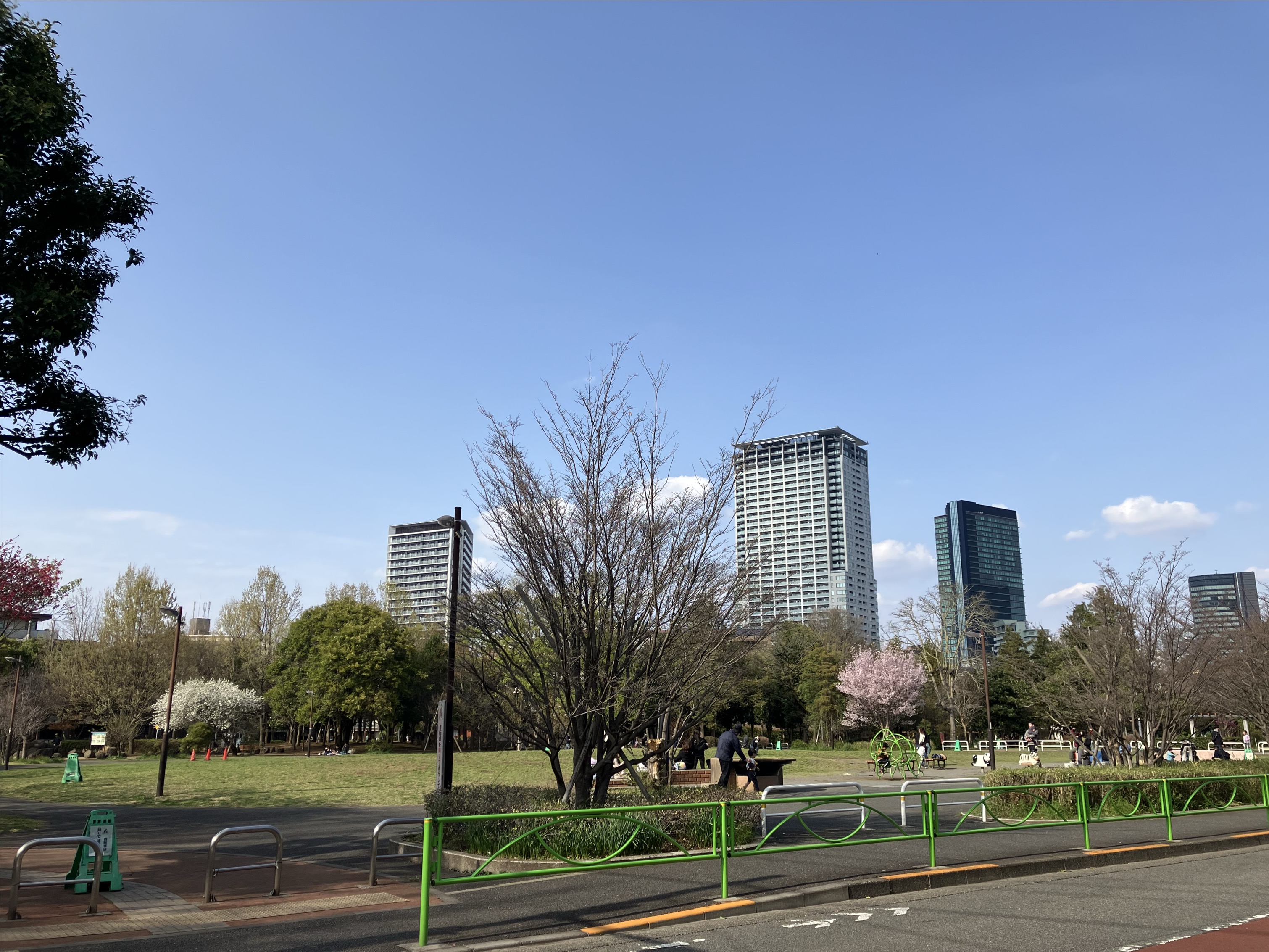 空が広がる東山公園の写真