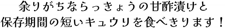 余りがちならっきょうの甘酢漬けと保存期間の短いキュウリを食べきります