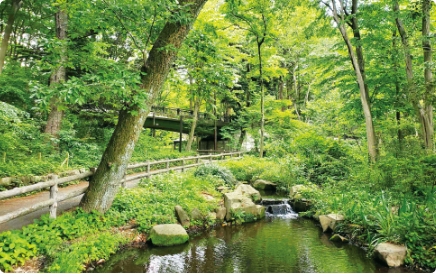林試の森公園