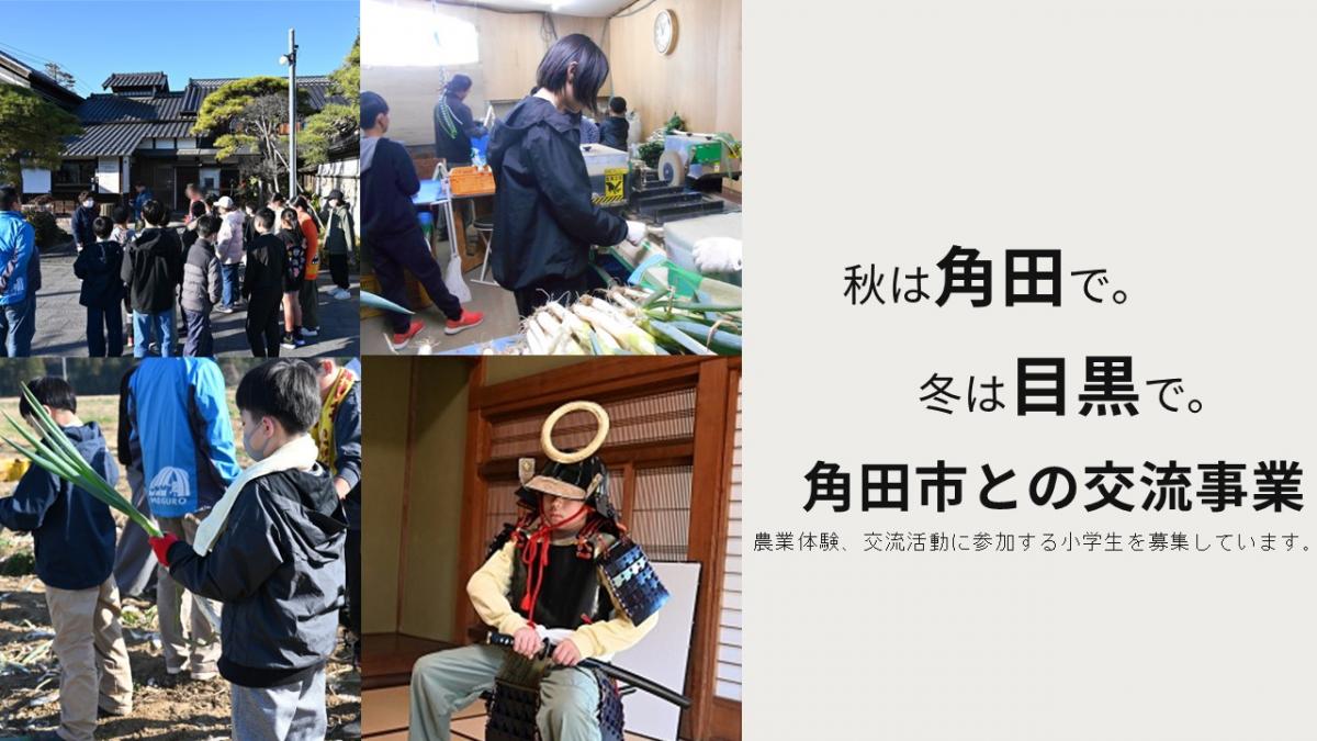 角田交流事業_過去の交流の様子
