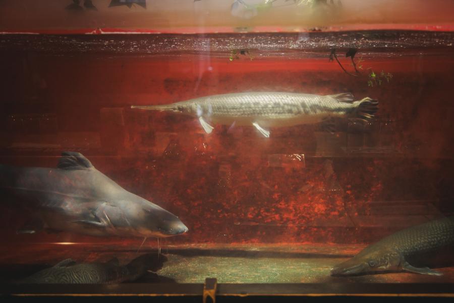 銀座ソフトウェア13
