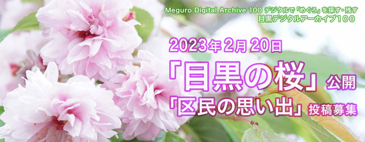 新たに「目黒の桜」を公開しました。また、「区民の思い出」（目黒にまつわる写真や映像、エピソード）の投稿を募集します。