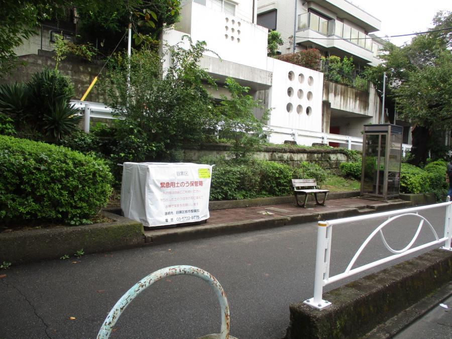No11の写真