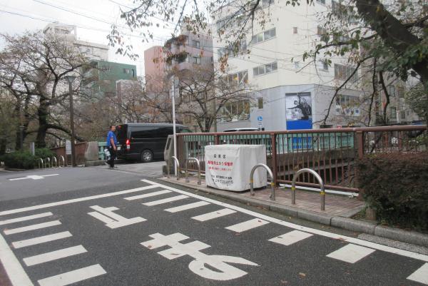 No5柳橋付近の写真