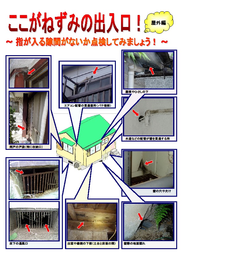 ここがねずみの出入口！屋外編