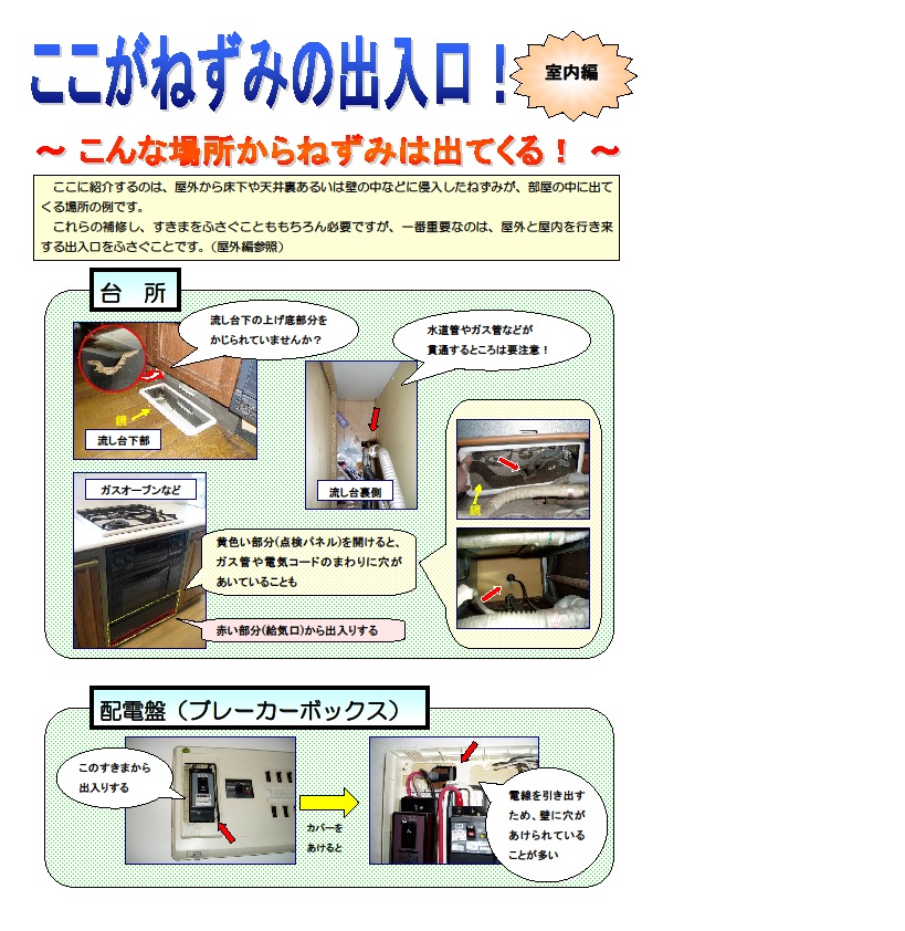 ここがねずみの出入口！室内編
