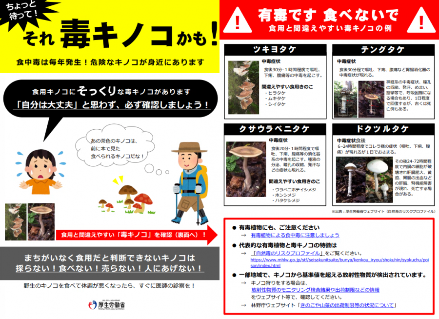 ちょっと待って！それ毒キノコかも！