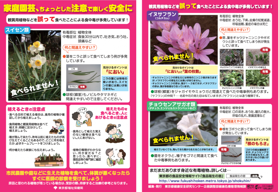 家庭園芸、ちょっとした注意で楽しく安全に