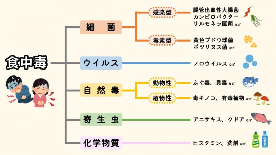 食中毒の分類と種類