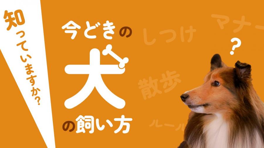 飼育マナー